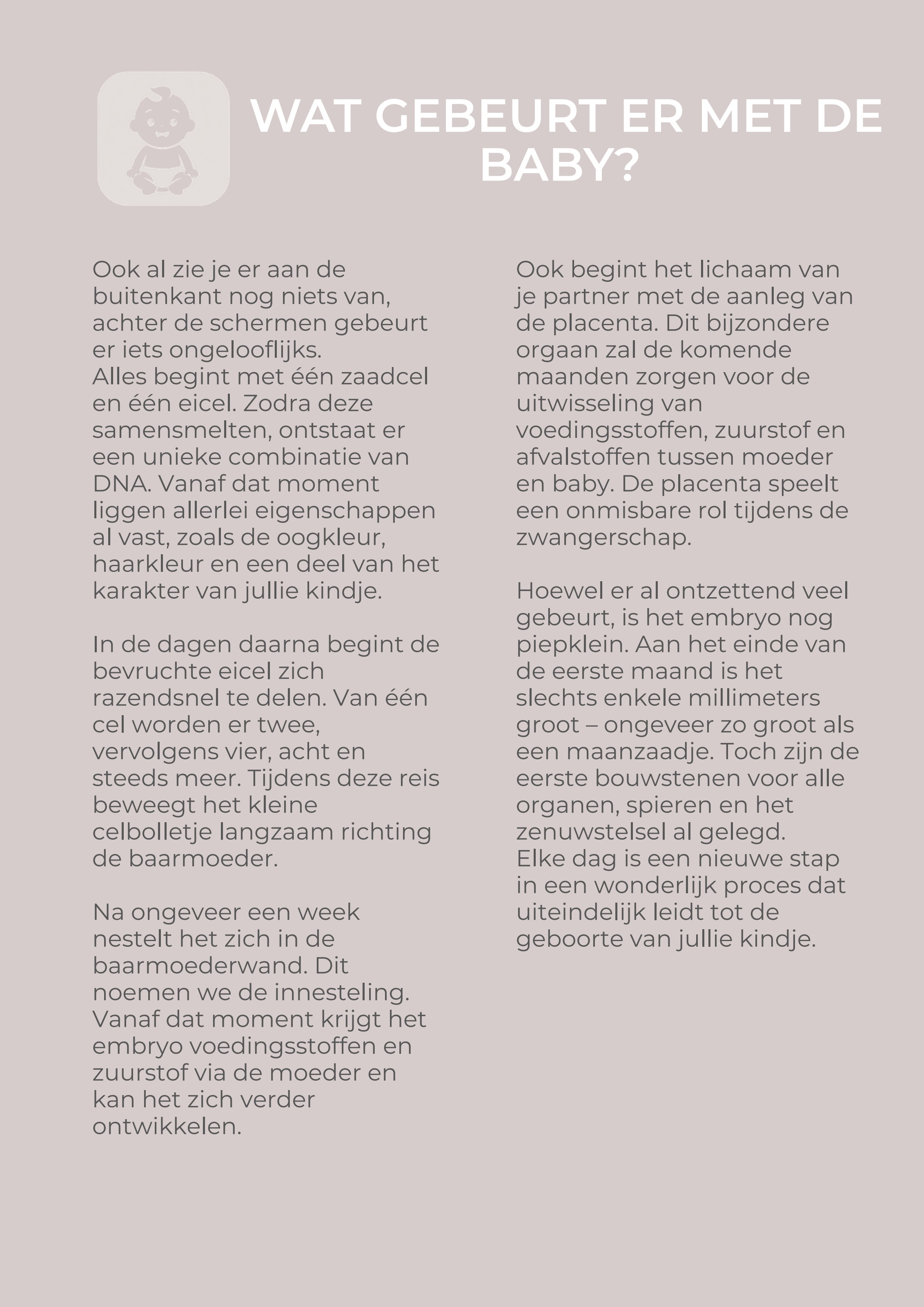 Pagina 'Wat gebeurt er met de baby?' uit maand 1